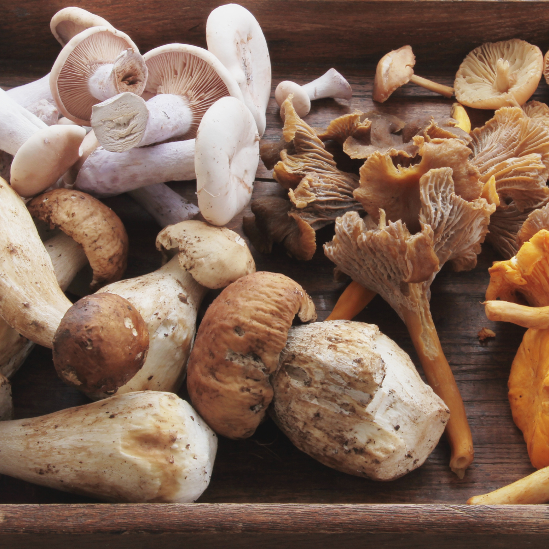 an assortment of raw mushrooms on a platter