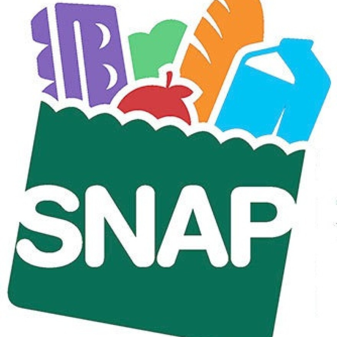 SNAP logo: the letters SNAP on a green basket with colorful groceries inside